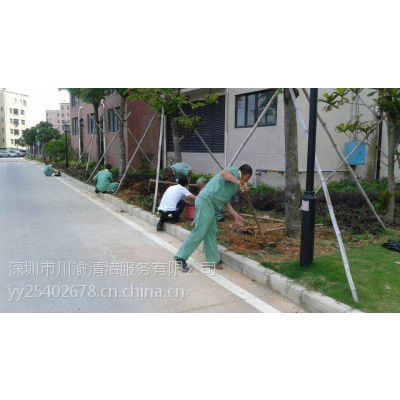 永久性建筑物的清潔與保養(yǎng) 深圳物業(yè)保潔的最佳實(shí)踐與價(jià)格指南